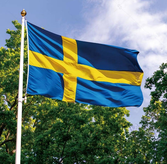 Swedish national day